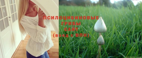 бутират Надым